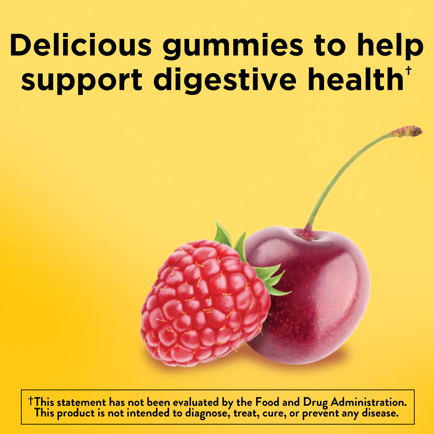 VYNATURA™ Digestive Probiotics Extra Strength 8 Billion CFU per 2 Gummies