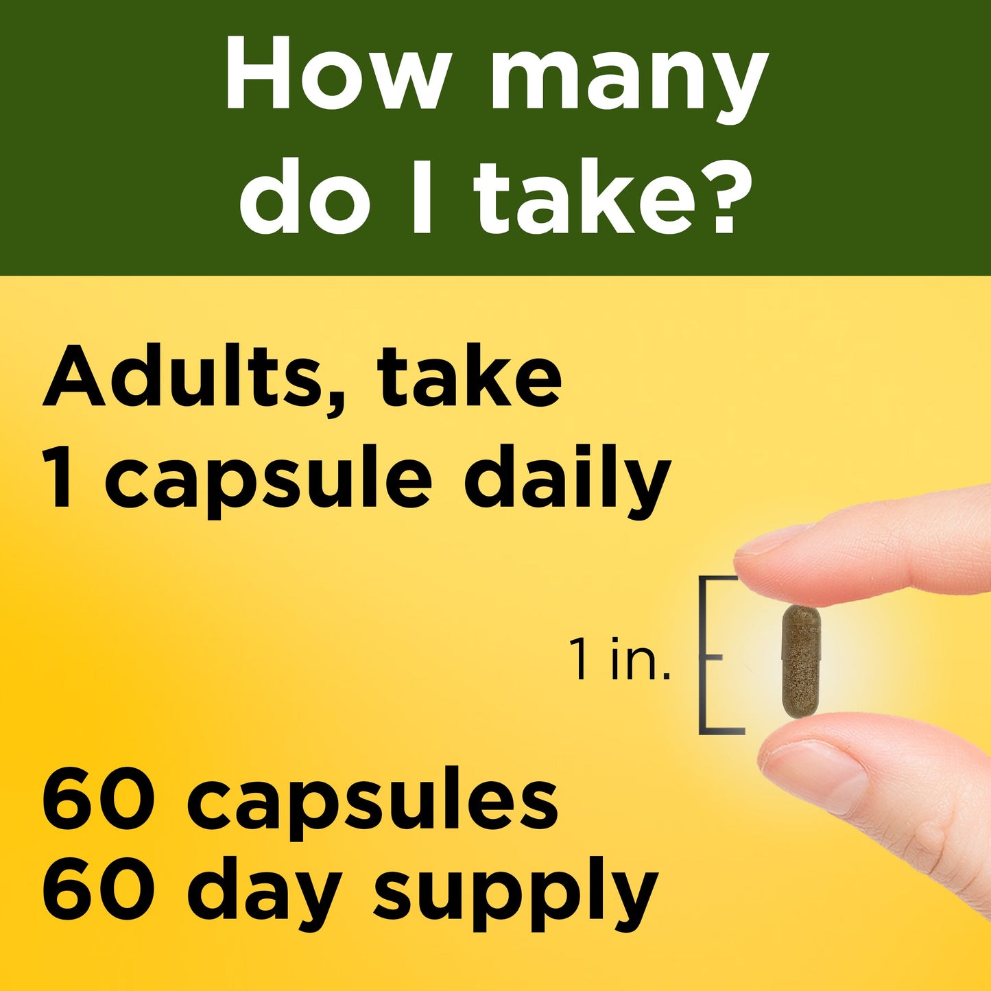 VYNATURA™ Ashwagandha Capsules