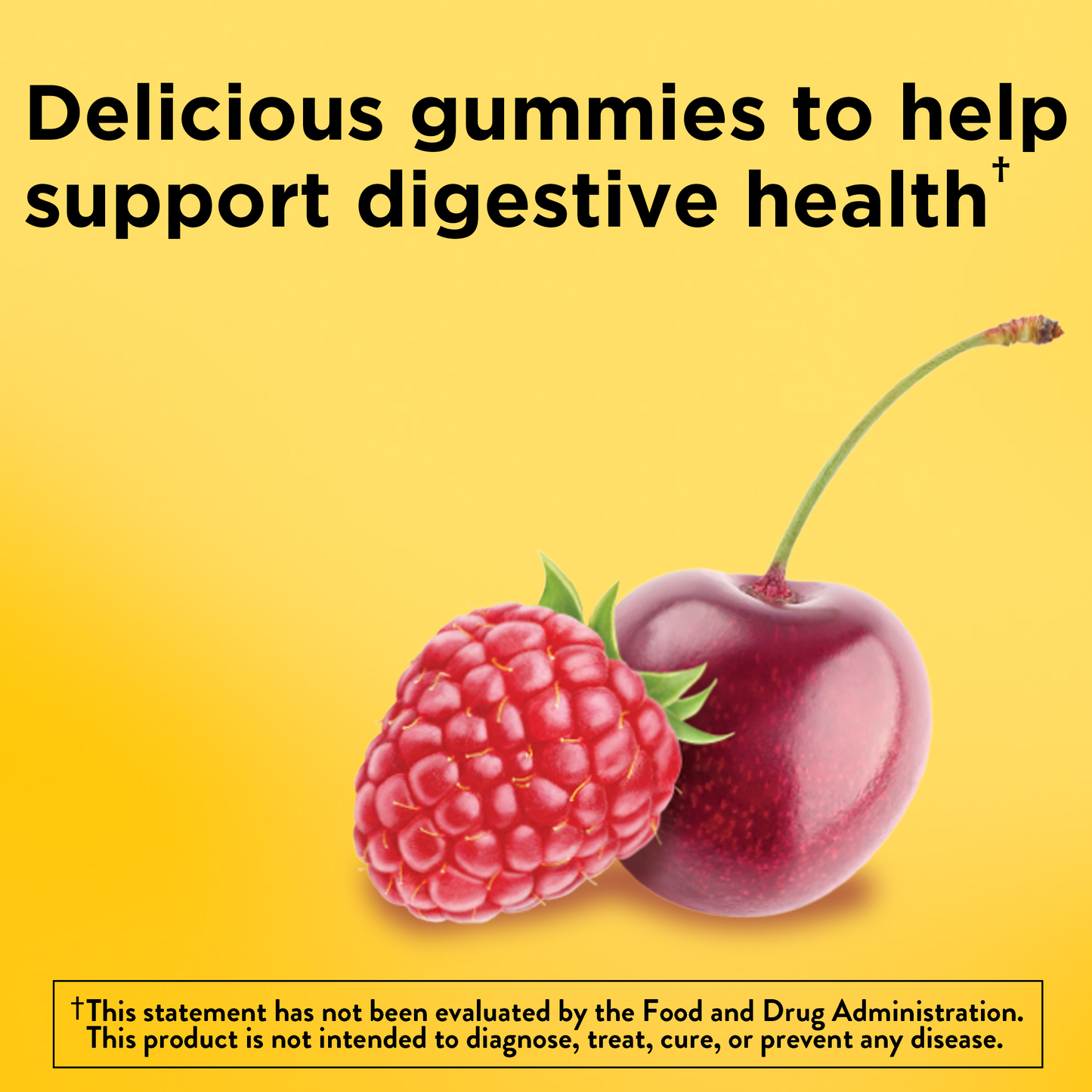 VYNATURA™ Digestive Probiotics + Energy B12‡ Gummies