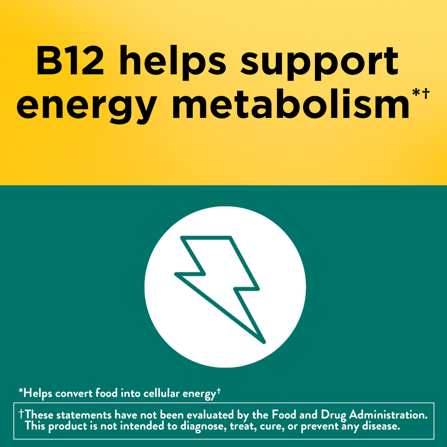 VYNATURA™ Digestive Probiotics + Energy B12‡ Gummies
