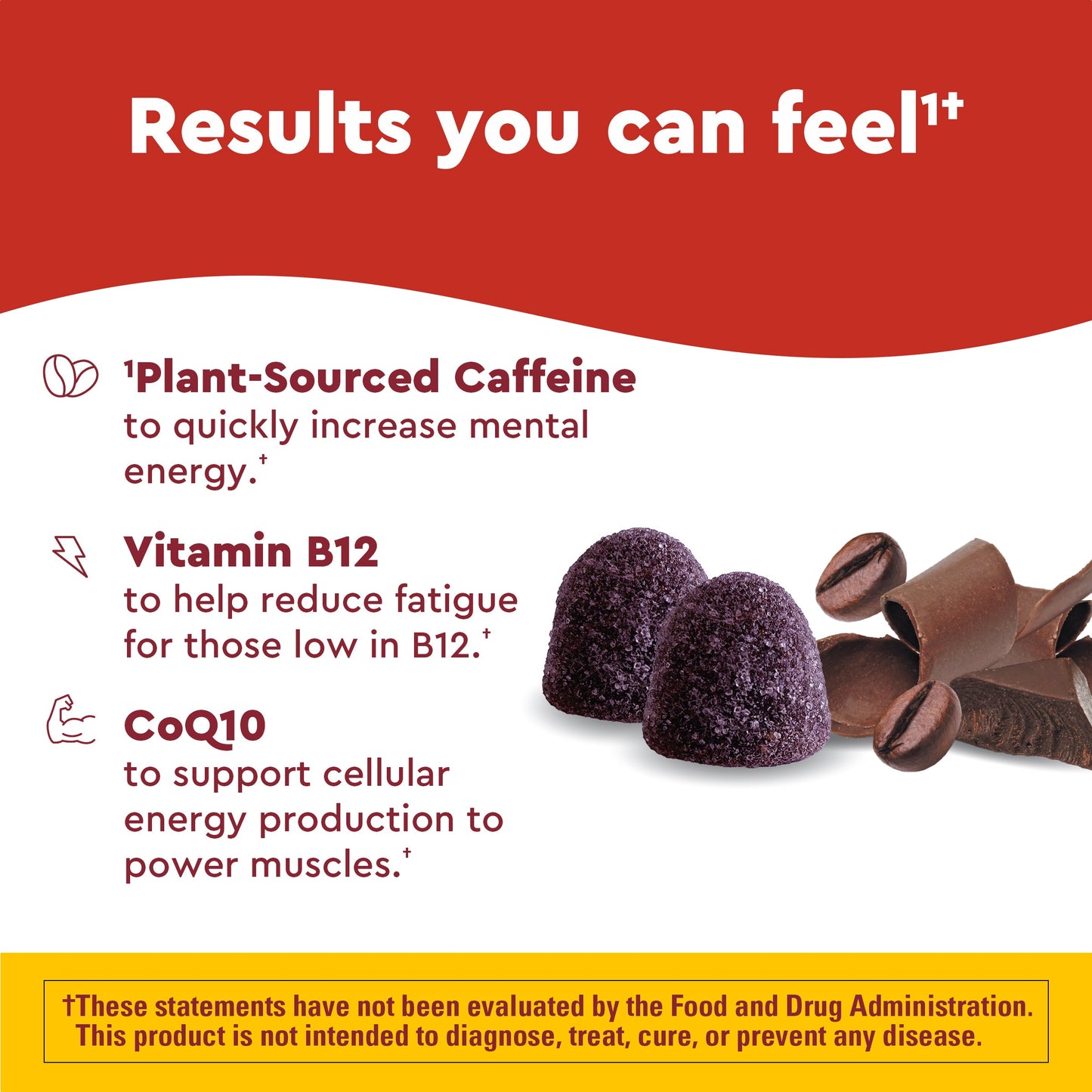 VYNATURA™ VYNATURA™ Wellblends™ EnergyMAX™ Gummies