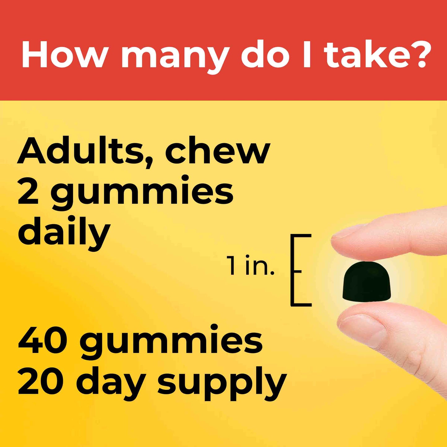 VYNATURA™ Choline Gummies