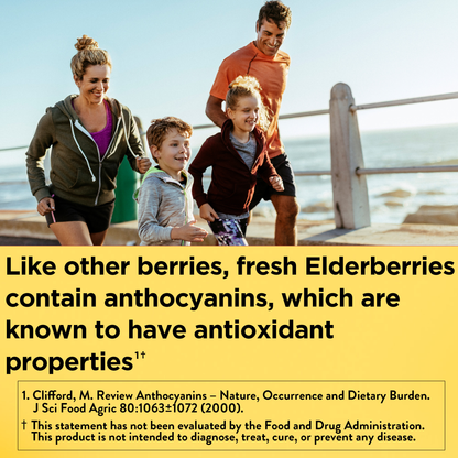 VYNATURA™ 100 mg Elderberry Gummies with Vitamin C & Zinc