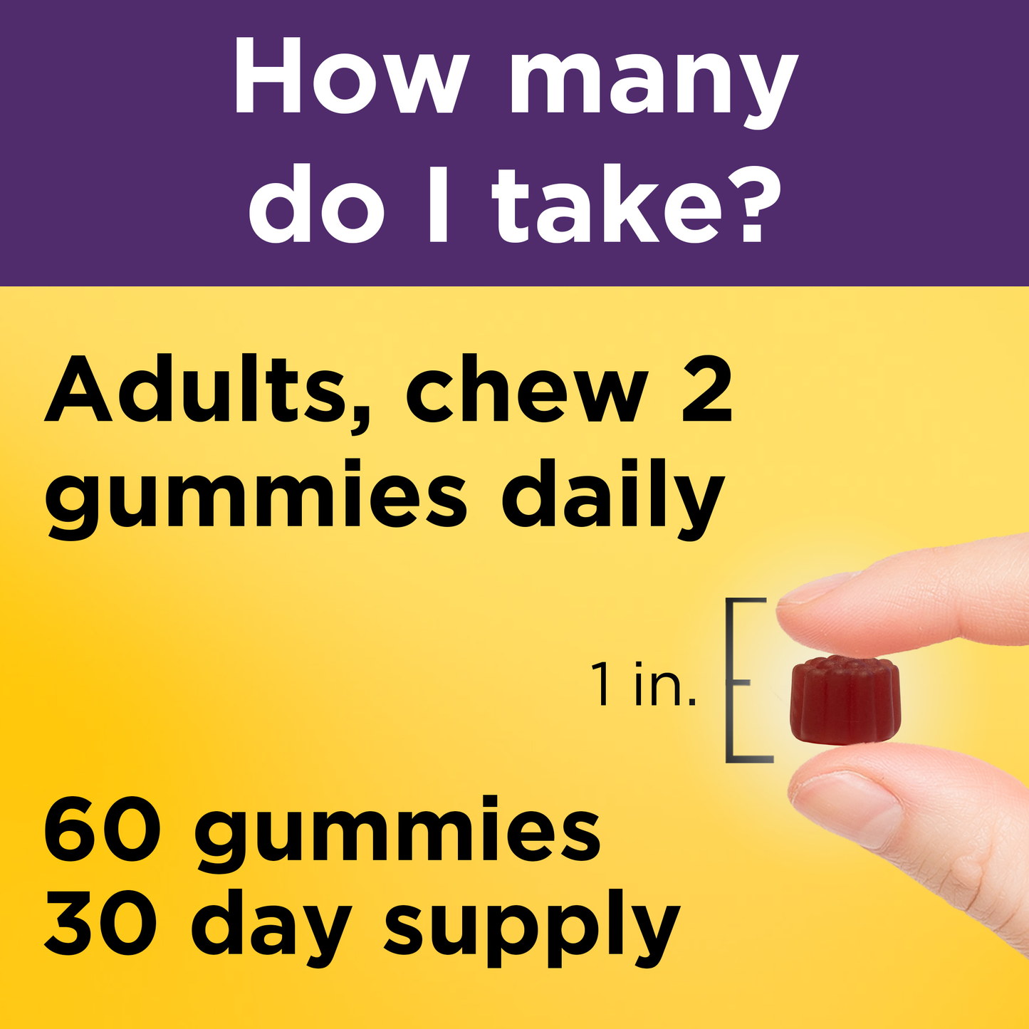 VYNATURA™ 100 mg Elderberry Gummies with Vitamin C & Zinc