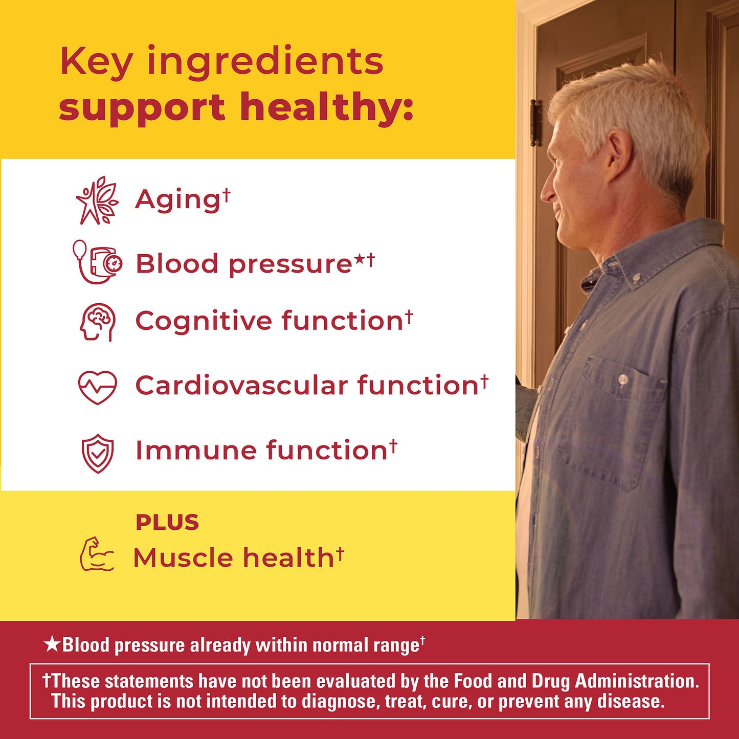 VYNATURA™ Advanced Multivitamin 50+ For Him Gummies